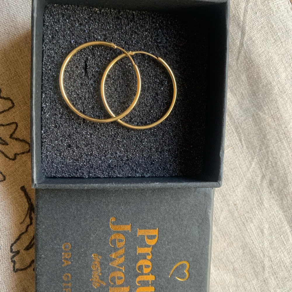Gold plated hoop pair of earrings. New, these are my extra pair.